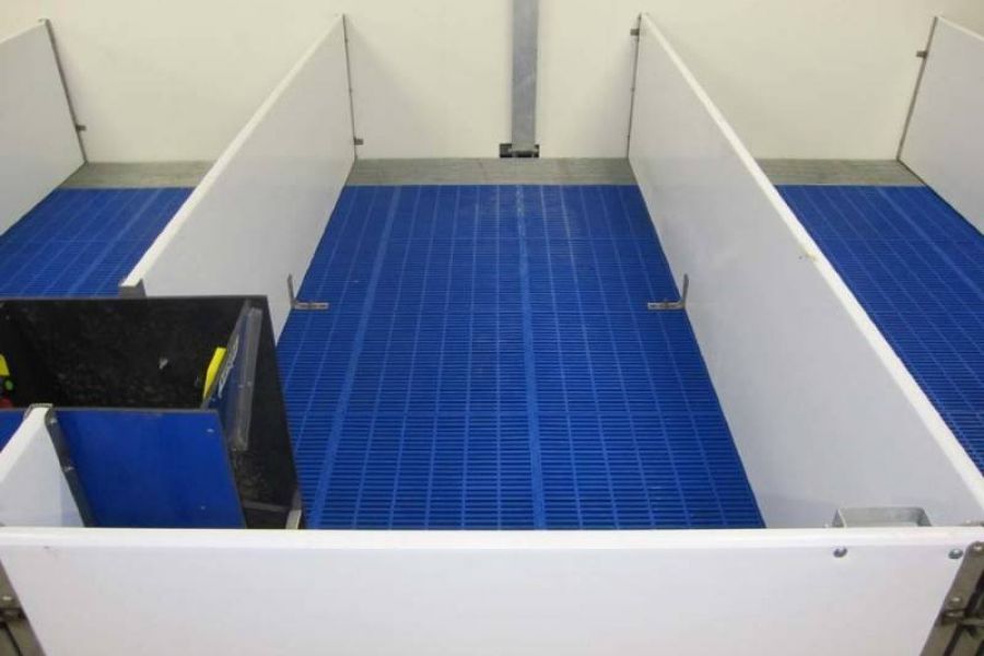 Nooyen还提供了仔猪地板；Blue Deck和Tri-Bar的组合确保最佳的粪便收集 - 项目 Donkers Farm, Deurne