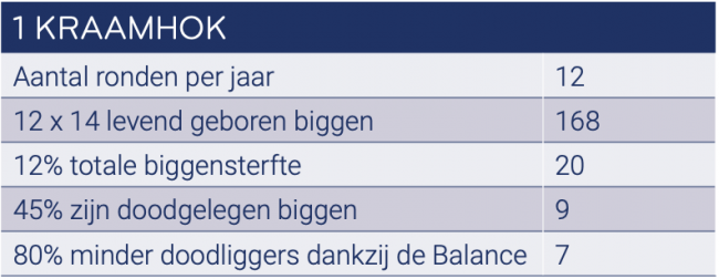 balance NL